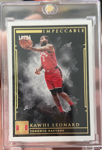 Impeccabile kawhi leonard - impeccabile,